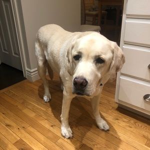 Meet your Posher, Tim